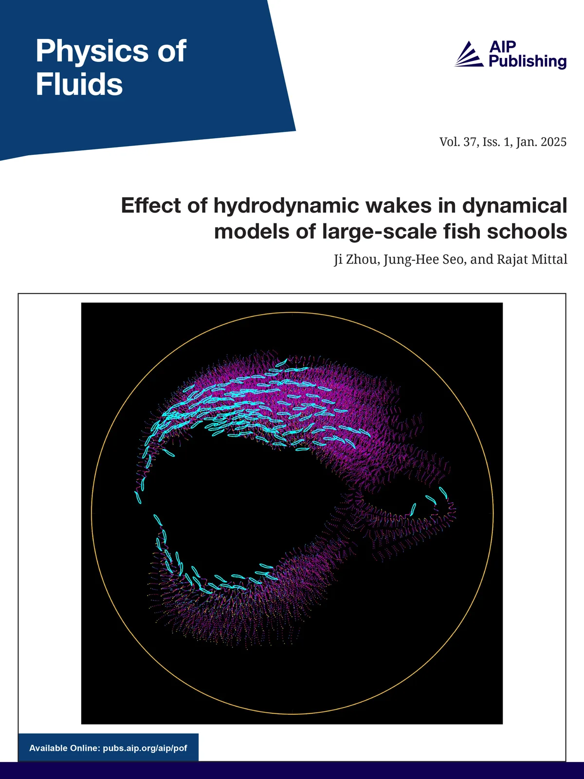 Physics of Fluids January 2025 cover featuring Ji Zhou's fish-schooling model